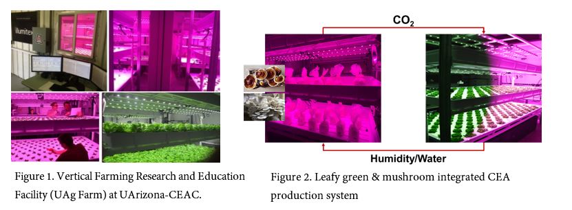 Bioeconomy Case Study 6.4 Figure 1 and 2