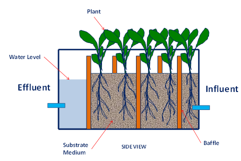 Case Study 6.9 Figure 1