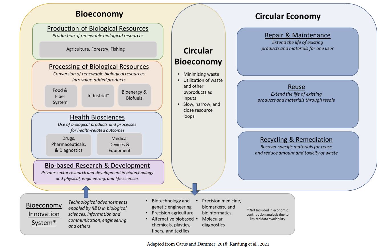 Relationship Between The Bioeconomy and Circular Economy