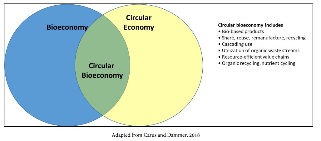 The Circular Economy as the Intersection of Bioeconomy and Circular Activities